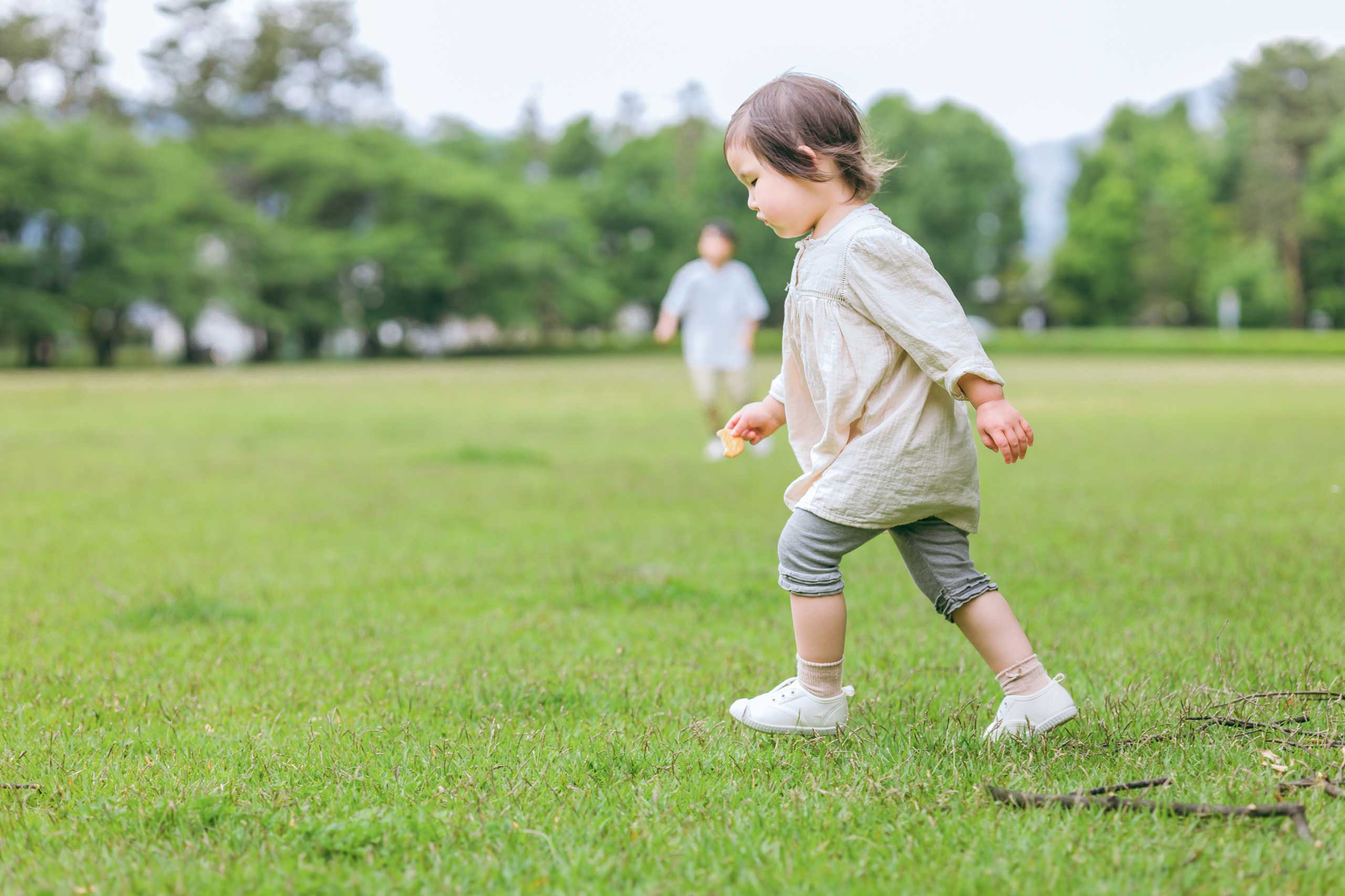 图虫创意-1871371659546591237